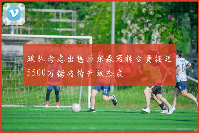 狼队考虑出售拉尔森若转会费接近5500万镑将持开放态度