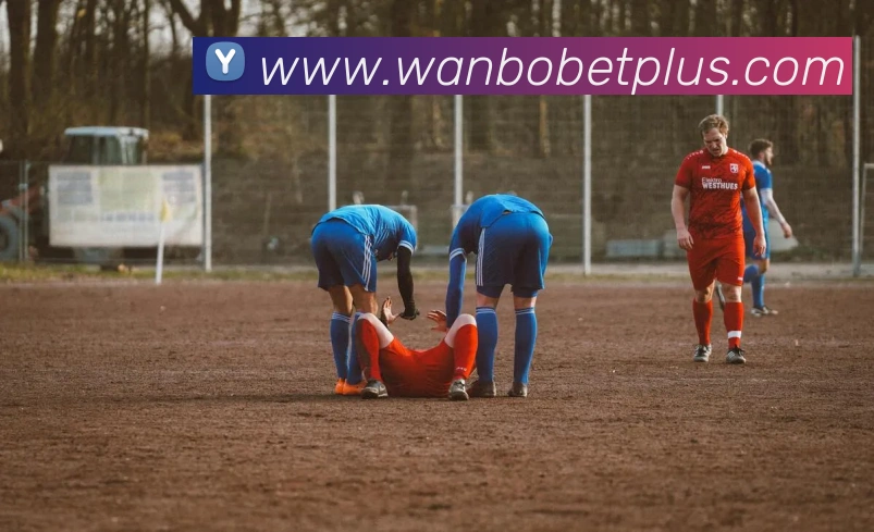 万博体育平台生态图