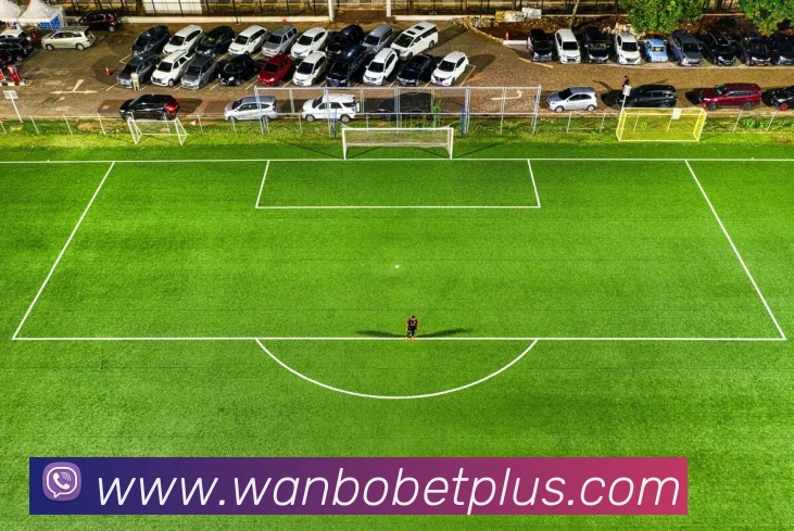 万博体育APP 封面图